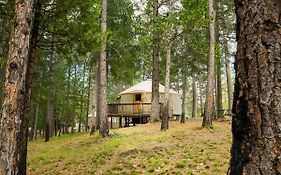 Yosemite Lakes Hillside Yurt 14